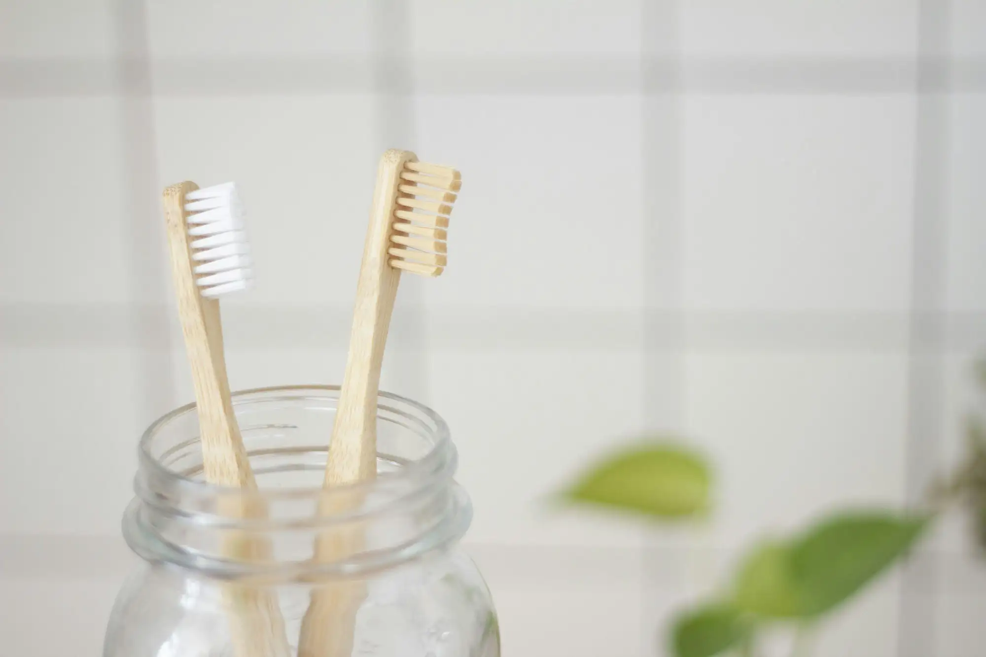Two bamboo toothbrushes in a glass jar beside a green plant